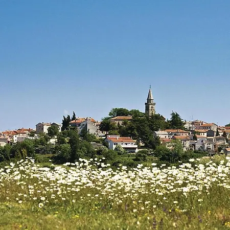 Awesome In * Žminj