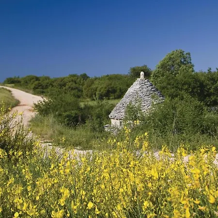 4 Bedroom Pet Friendly In